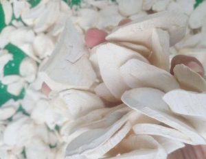 whatsapp image 2026 01 08 at 11.42.58 am(1)