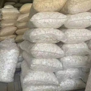 whatsapp image 2026 01 08 at 11.42.58 am(2)