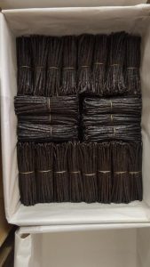 whatsapp image 2026 01 08 at 11.42.59 am(1)