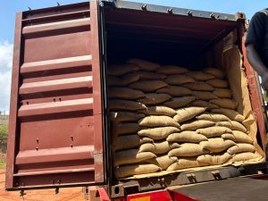 whatsapp image 2026 01 08 at 11.43.00 am(1)