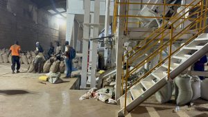 Processing and Quality Control