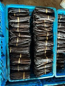 whatsapp image 2026 01 08 at 11.43.05 am(4)