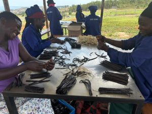 whatsapp image 2026 01 08 at 11.43.06 am(2)