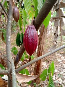 whatsapp image 2026 01 11 at 1.43.07 am