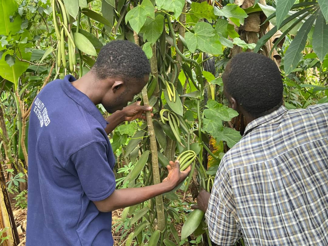 Home whatsapp image 2026 01 22 at 3.21.32 pm