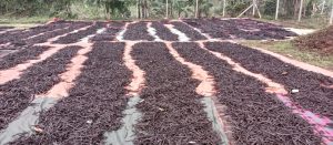 whatsapp image 2026 01 22 at 3.21.34 pm(2)