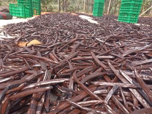 whatsapp image 2026 01 22 at 3.21.35 pm(1)